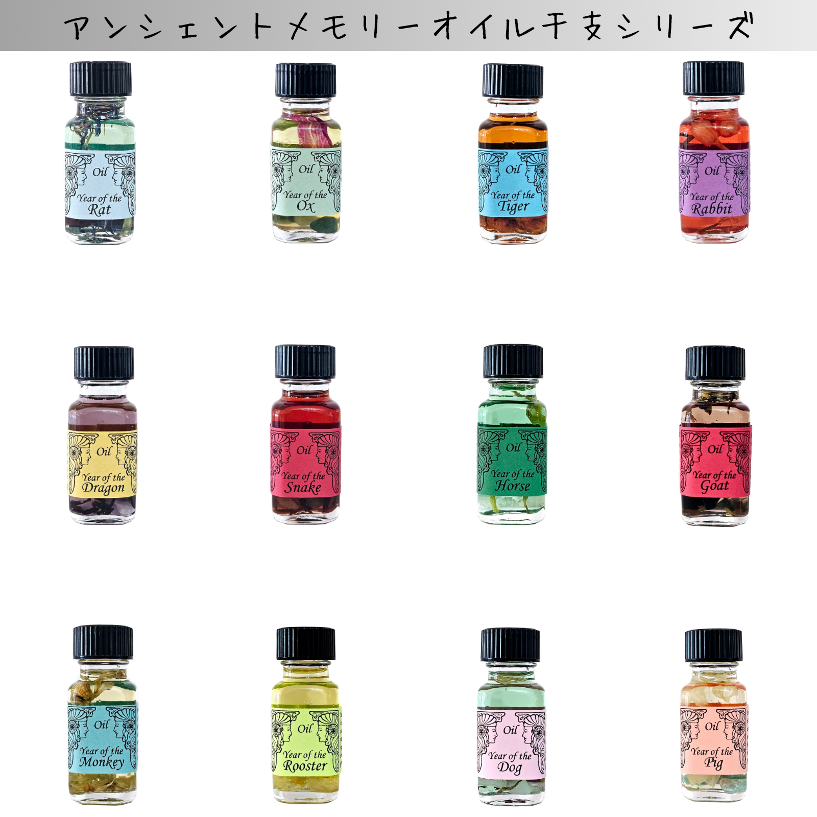 ���x�V���[�Y - �p���[�X�g�[���X�N�[�����V���b�v�@�A���}���@�����F�[���@�A���V�F���g�������[�I�C���@�S��ޔ̔���