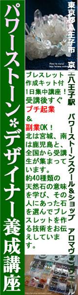 �p���[�X�g�[�����f�U�C�i�[�{���u��
